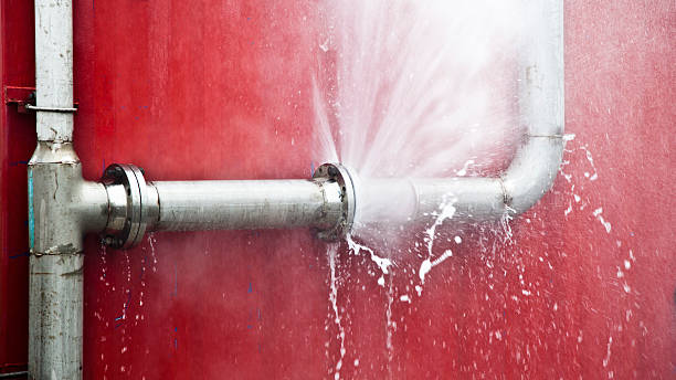 Best Flooded house restoration  in Deltana, AK
